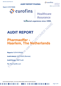 Example audit report