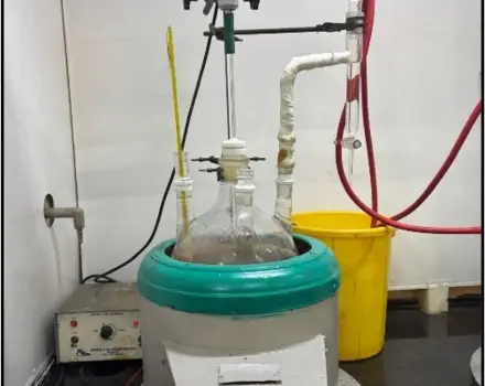Custom Synthesis