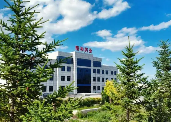 Shanxi Yanghe Pharmaceutical Co., Ltd APIs on Pharmaoffer