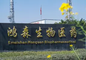 Emeishan Hongsen Biopharmaceutical Co,. Ltd._1