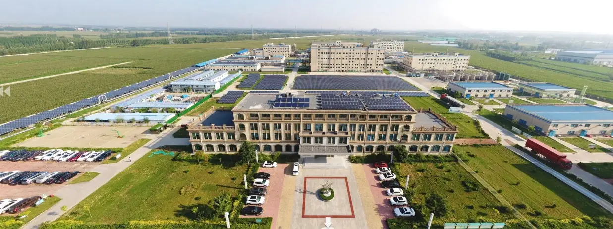 Shandong Chenghui Shuangda Pharmaceutical Co. Ltd._3 Shandong Chenghui Shuangda Pharmaceutical Co. Ltd._3