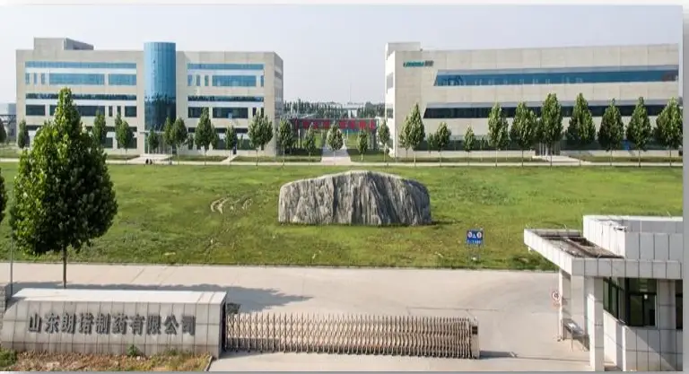 Shandong Loncom Pharmaceutical CO.,Ltd. - Trusted API Supplier on Pharmaoffer Shandong Loncom Pharmaceutical CO.,Ltd. APIs on Pharmaoffer
