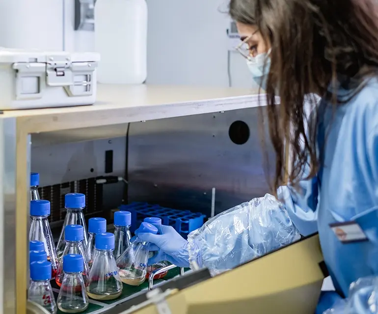 Rodon Facilities Rodon Facilities