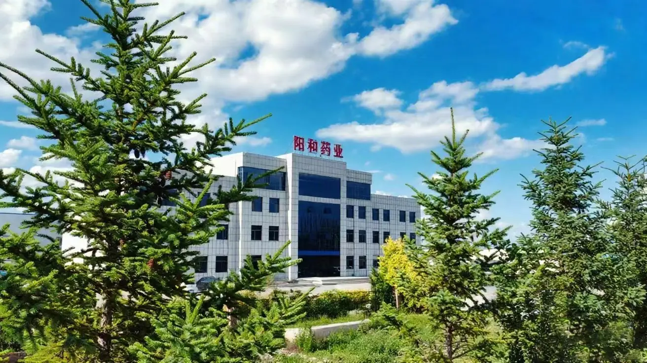 Shanxi Yanghe Pharmaceutical Co., Ltd - Trusted API Supplier on Pharmaoffer Shanxi Yanghe Pharmaceutical Co., Ltd APIs on Pharmaoffer
