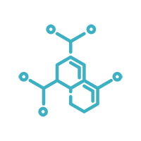 Enzyme