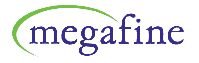 Megafine Pharma (P) Ltd.