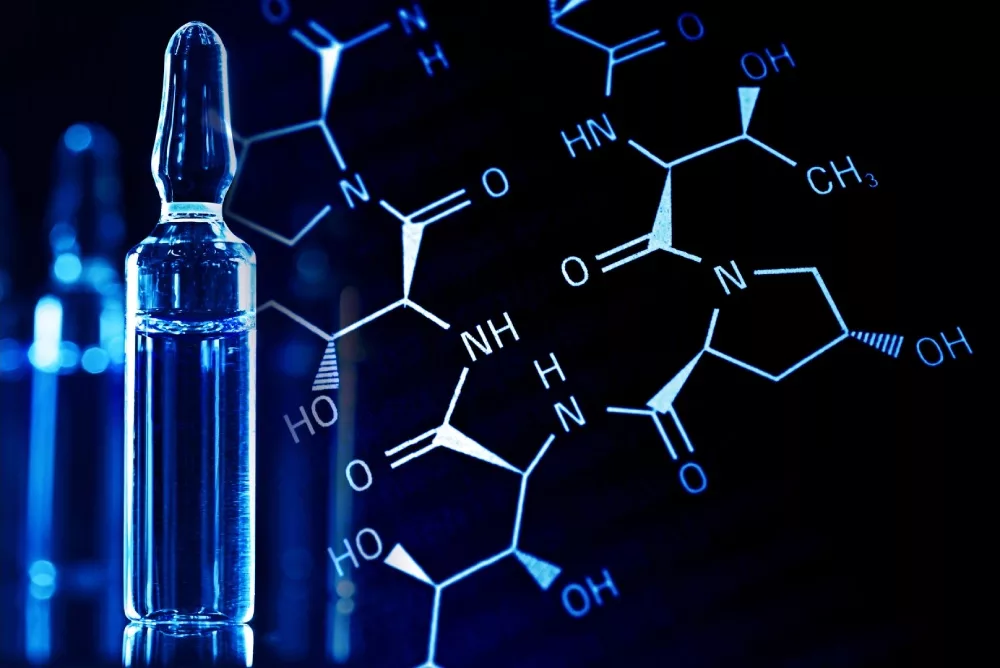 Chlorhydrate vs base : quelle est la différence